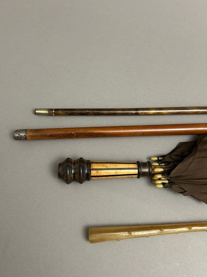 Set of 2 parasols and 2 canes including :...