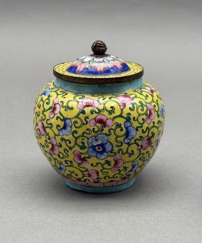 REGNE DE S.M. L'EMPEREUR MINH MANG (1820-1841)
Ensemble...