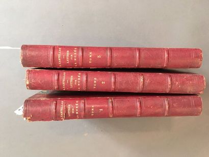 CASTELLAN (Antoine Laurent). Lettres sur...