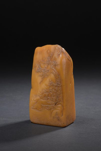 Orange-yellow soapstone stamp
China
One side...