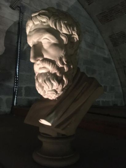 Suite de neuf bustes en plâtre représentant...