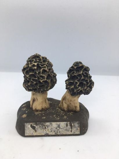 DEYROLLE, circa 1960
Lot of 31 mushrooms...