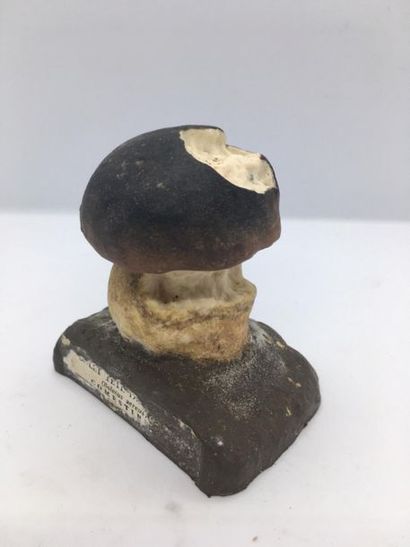 DEYROLLE, circa 1960
Lot of 31 mushrooms...