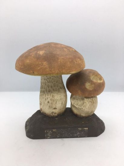 DEYROLLE, circa 1960
Lot of 31 mushrooms...