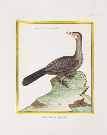 Georges-Louis LECLERC, comte de BUFFON (1707-1788)...