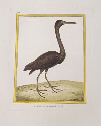 Georges-Louis LECLERC, comte de BUFFON (1707-1788)...