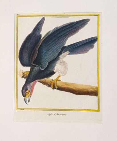 Georges-Louis LECLERC, comte de BUFFON (1707-1788)...