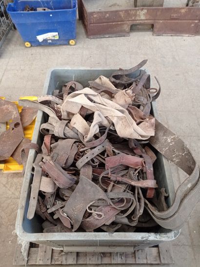 Set of leather harnesses.