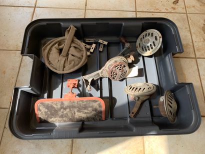 Lot: horns, mermaids, water cow and tinted...