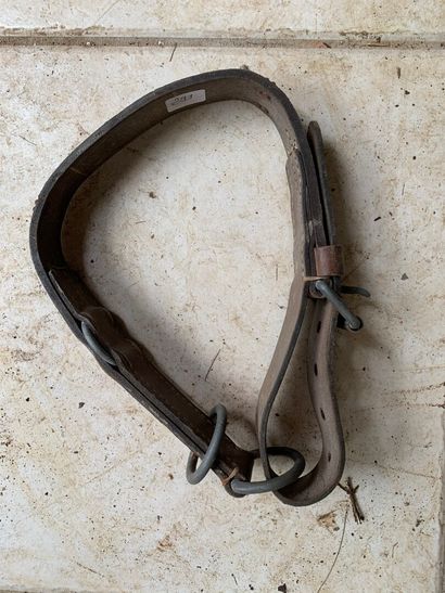 Collier de chien, avec plaque émaillée de...