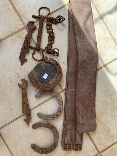 Set of cavalry: girth, horseshoes, bits,...