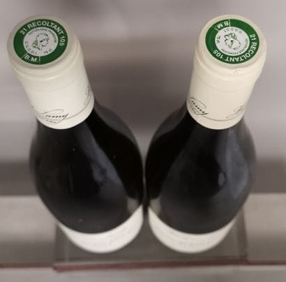 2 bouteilles SAINT AUBIN 1er Cru 