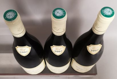3 bouteilles PULIGNY MONTRACHET 1er Cru 