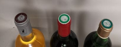 21 bottles BORDEAUX DIVERS including : 

12...