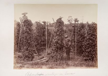 Young Dutch traveller

EXPEDITION AND STAY,...
