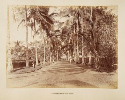 Gustave Richard Lambert (1846-1907)

ALBUM...