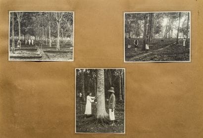 Kassian Cephas (1844-1912) & others

YOUNG...