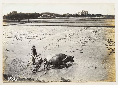 German officer

TRIP TO CHINA, 1906

Black...
