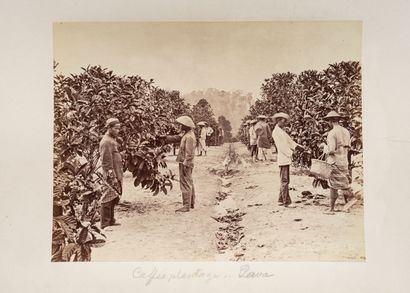 Young Dutch traveller

EXPEDITION AND STAY,...