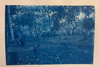 Charles Laurent (not fully identified)

AZORES,...