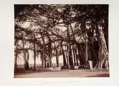 Young Dutch traveller

EXPEDITION AND STAY,...