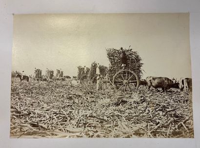 Charles Laurent (not fully identified)

AZORES,...