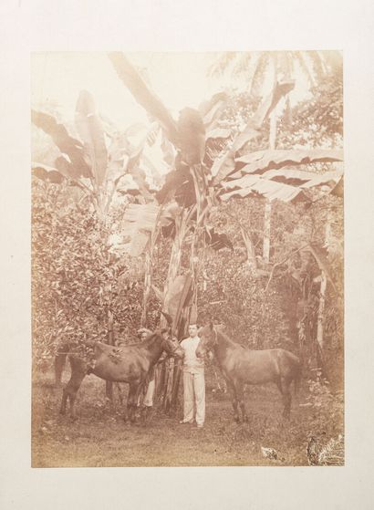 Young Dutch traveller

EXPEDITION AND STAY,...
