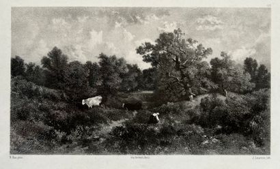 After Narcisse DIAZ (1807 - 1876)

Cows in...