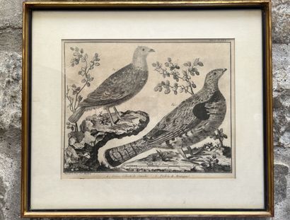 After MARTINET, 19th century

Two engravings...