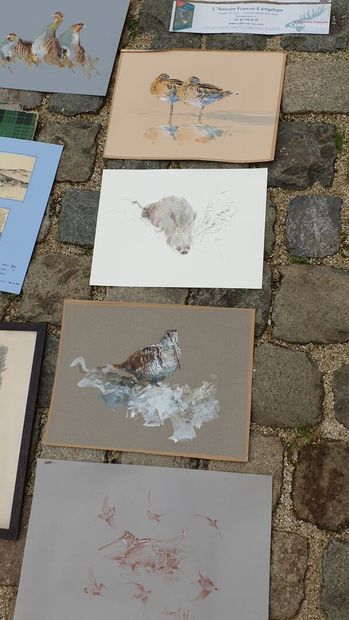 MANNETTE of engravings and drawings