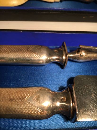 Part of cutting service in silver filled...