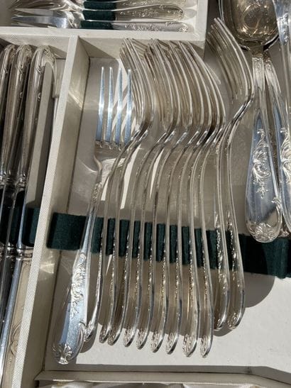 Silver plated metal household set 

Foliage...