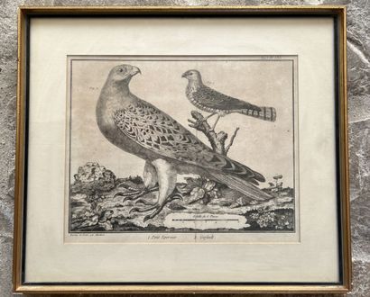 After MARTINET, 19th century

Two engravings...