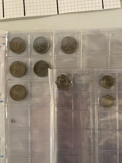 Set of three binders of coins