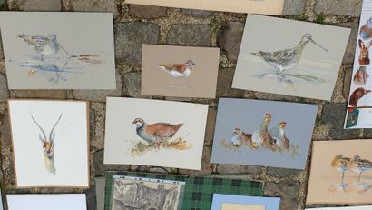 MANNETTE of engravings and drawings