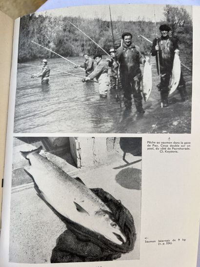 MANNETTE of books on fishing