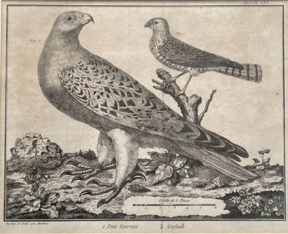 After MARTINET, 19th century

Two engravings...