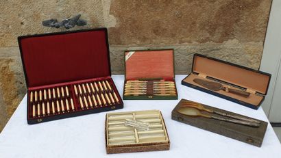 Set of cutlery in their cases (knives, salad...