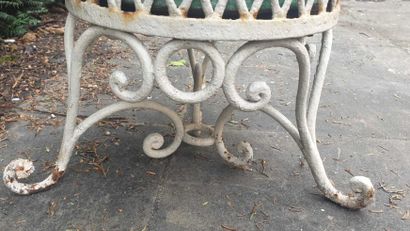 Planter with its tray

H. 46, D. 48 cm