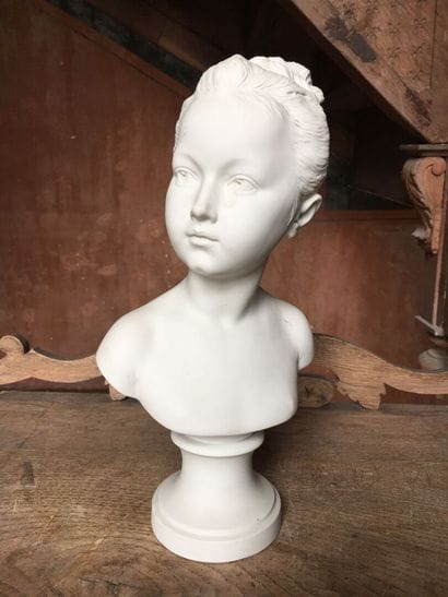 After HOUDON

Bust of Sabine Houdon in cookie...