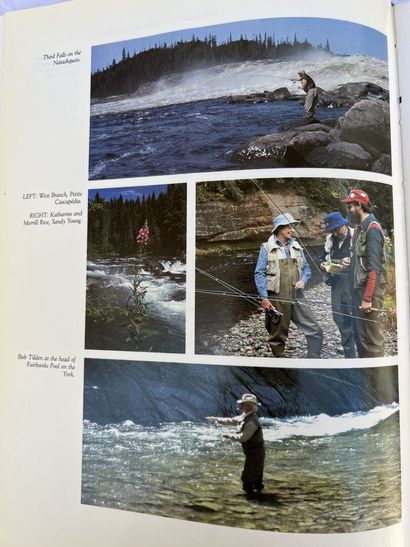 MANNETTE of books on fishing