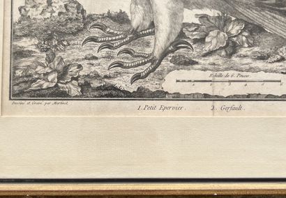 After MARTINET, 19th century

Two engravings...