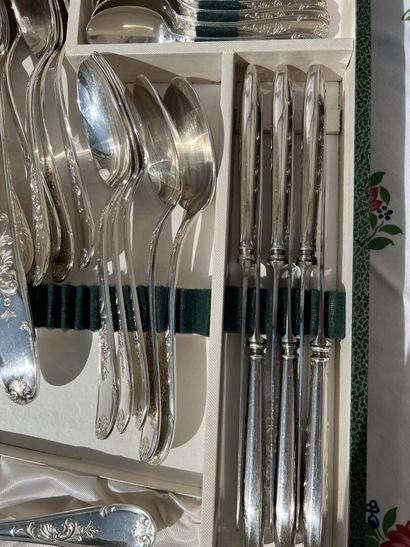 Silver plated metal household set 

Foliage...