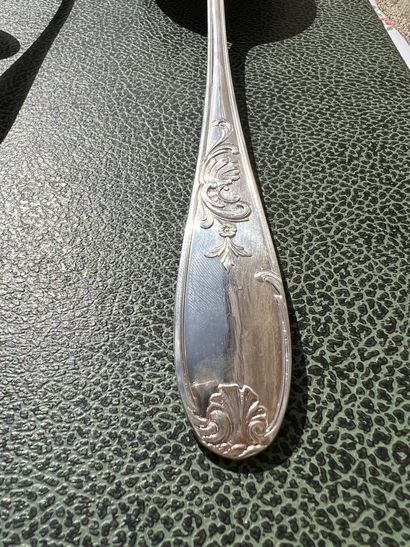 Silver plated metal household set 

Foliage...