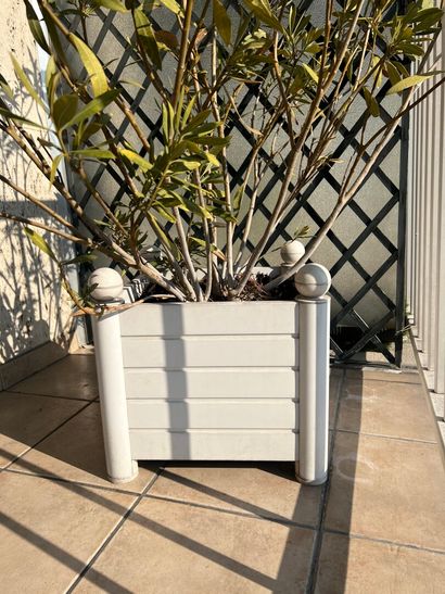 Suite of three white plastic shrub boxes.

H....