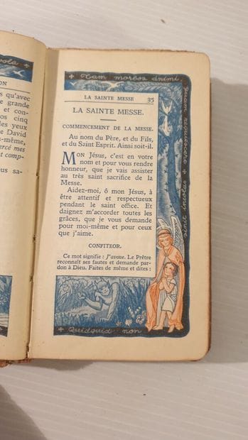 Holy Bible, translated from the original...