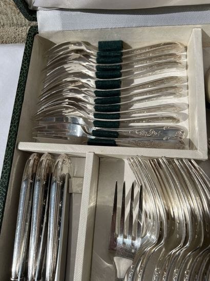 Silver plated metal household set 

Foliage...