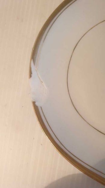 SOLOGNE, circa 1950

Porcelain banche net...