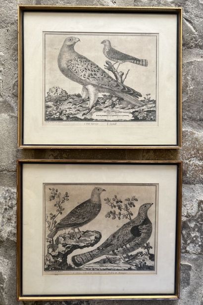 After MARTINET, 19th century

Two engravings...