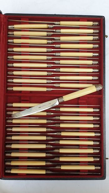 Set of cutlery in their cases (knives, salad...